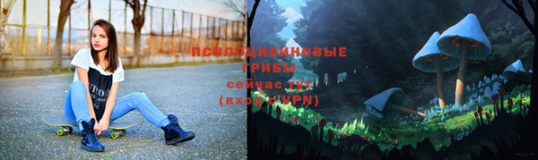 тгк Лиски